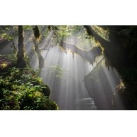 光的干涉、衍射、折射、反射、散射